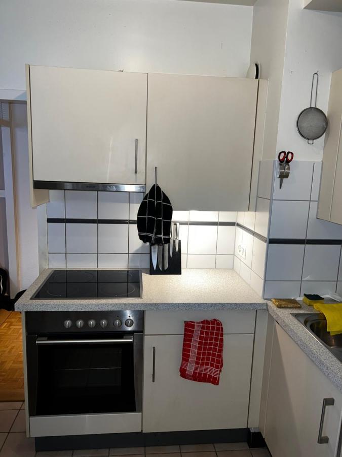 Beautiful Large Studio In Center Of Geneva Free Wifi Apartment Luaran gambar